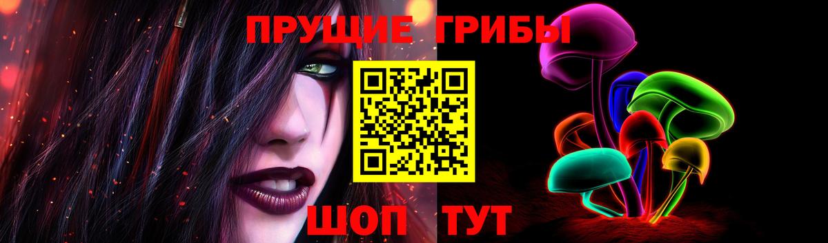 Псилоцибиновые грибы Psilocybe Кубинка